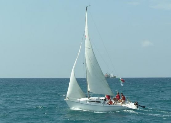 image img_1208532464_538-jpg